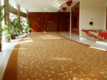 酒店地毯,阿克明地毯,别墅地毯,家居地毯,羊毛地毯,地垫,门垫
