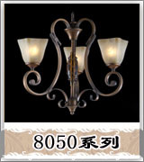 8050ϵ��