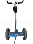 ��Ӧ̤ѩ�޺۵綯���ָ�Ӧվ����/segway������