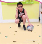 ��ӦPVC�ذ�/���Եذ�/������PVC����