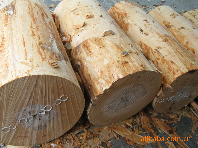 木皮-采用德国榉木生产的白榉、红榉木木皮-木皮尽在阿里巴巴-嘉善县洪溪镇祥和曲木