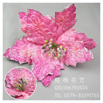 ��Ӧ������ɫ��ʽ����ʥ����ʥ��һƷ��