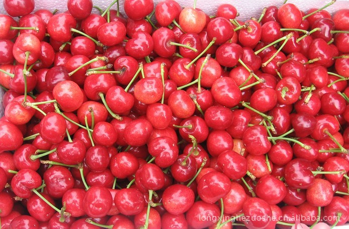 【绿色新鲜水果、烟台大樱桃】价格,厂家,图片