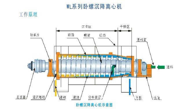 Tailwind CSS 40重磅发布：重新定义开发者的前端体验