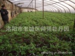 ��Ӧ��������ĵ����ľ������