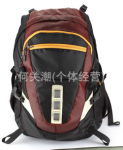 新专利产品!带冷藏/保温功能的背包