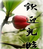 ��ӭ����