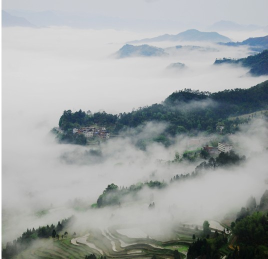 【国庆晒美景 温州后花园-文成 雾霭流岚