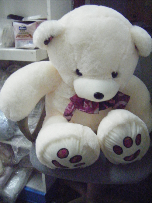 【KTV熊 公仔熊 毛绒熊 可爱熊 娃娃熊 生日礼