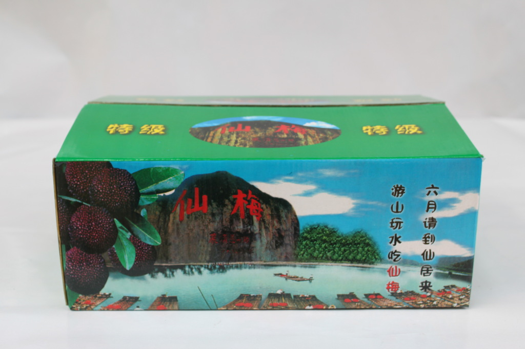 B33 特級仙梅 綠色 果品包裝用品 水果精美包裝盒 丁峰包裝
