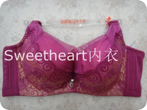 <em>黛安琪</em>内衣<em>文胸</em>批发 2012秋冬新款 立体厚杯性