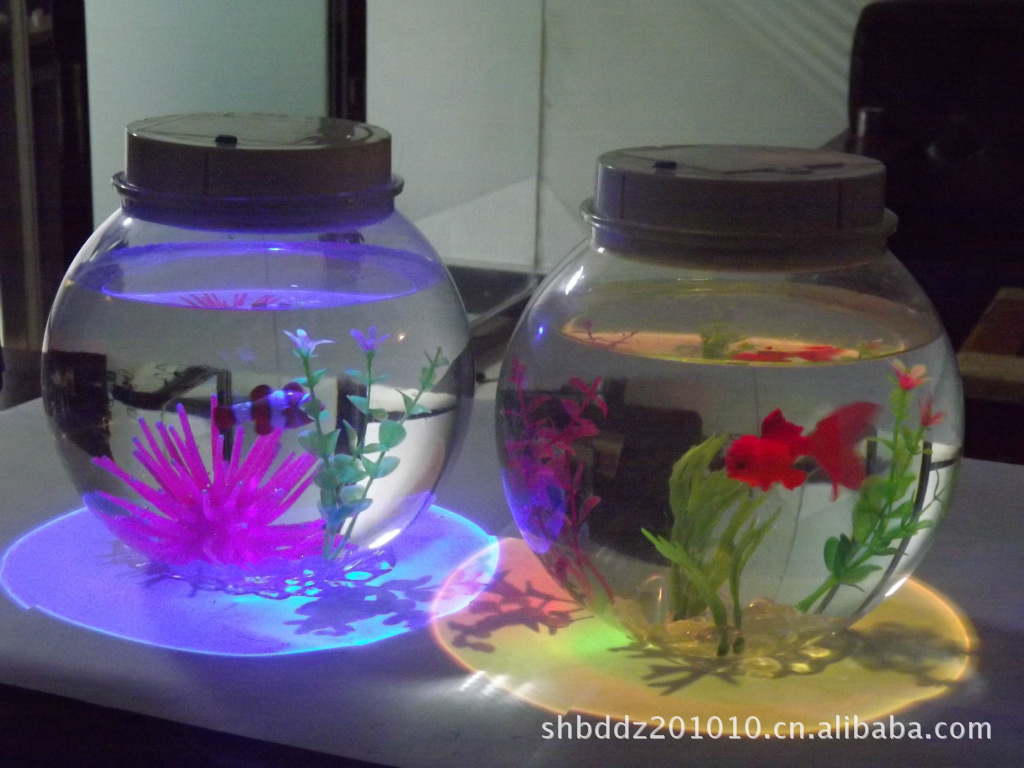 LED电子宠物鱼图片,LED电子宠物鱼图片大全