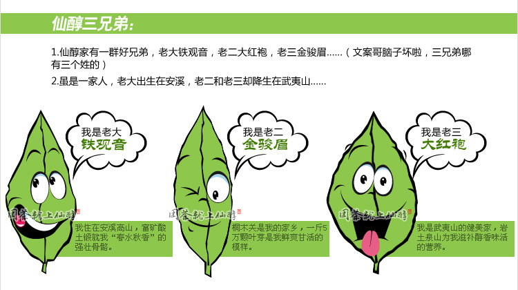 茶批发 正宗武夷山桐木特级金骏眉红茶 茶叶批