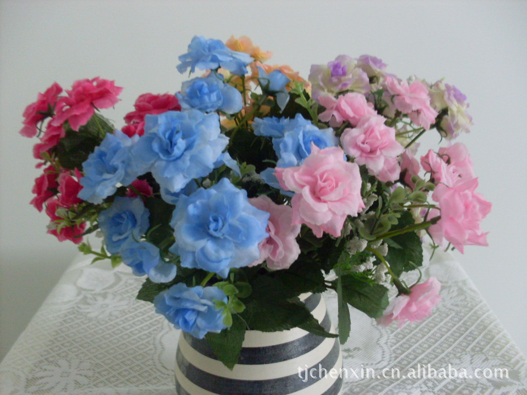 单支牡丹图片,单支牡丹图片大全,天津市武清区