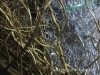 大量供应插花花艺花材-------龙柳