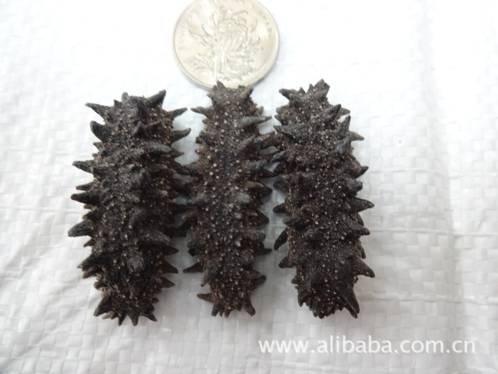 【关东辽参 80头 靓辽参】价格,厂家,图片,干制