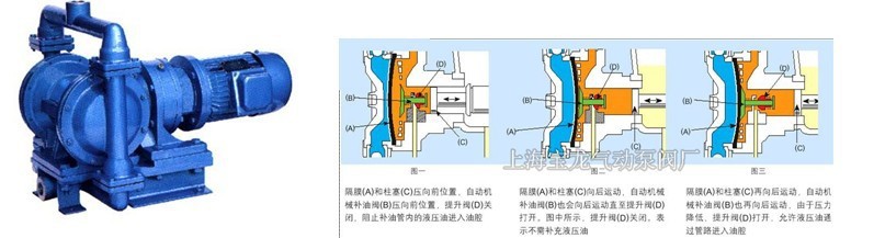 網友貼圖