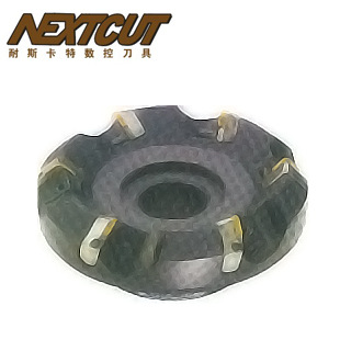 SD45&deg;面铣刀盘