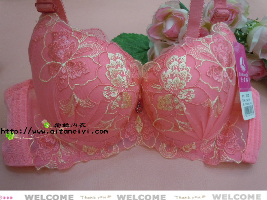 【<em>爱她</em>内衣裤 绣花<em>文胸</em> A杯中厚杯 B杯加厚杯