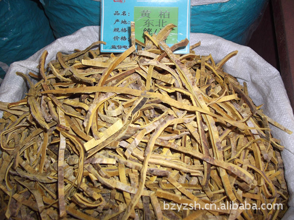 植物原药材-特产黄柏 黄柏皮 清热燥湿 泻火除