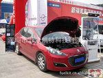 ROCARIO �μ�����չ������ɫ������һ������ӵ�� ���������˴���
