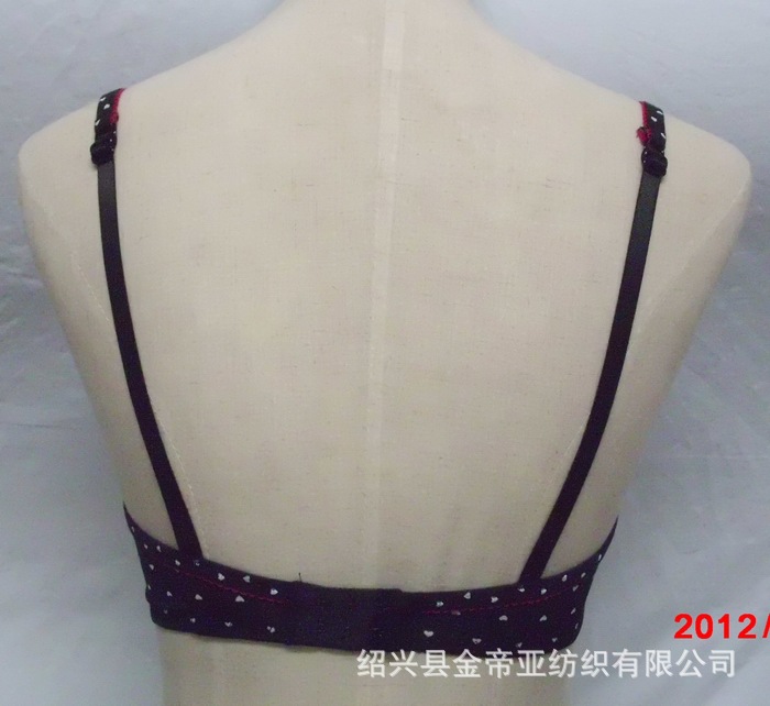 【圆点<em>碎花文胸</em>厂价直销、性感丝带蝴蝶结内衣