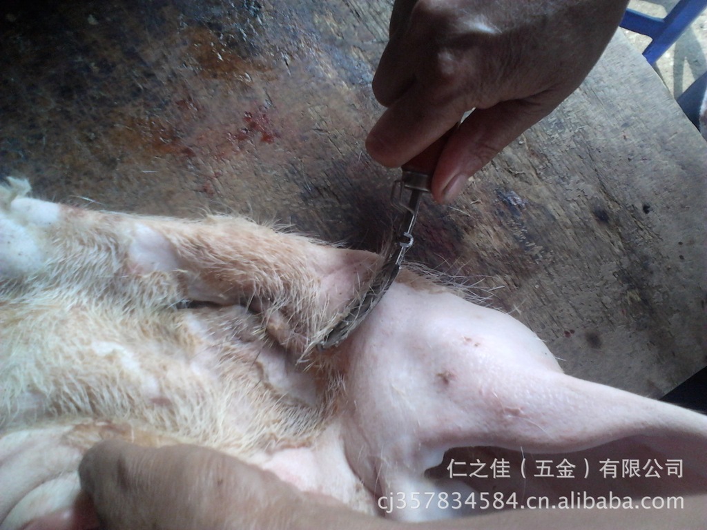 卖猪肉专用刀,刮猪毛刀,如猪头皮,猪脚等等