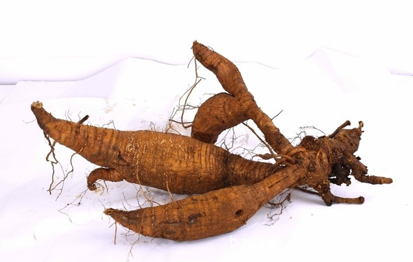 【供应批发中药材 葛根 丁 柴 葛根   葛根 超细粉 支