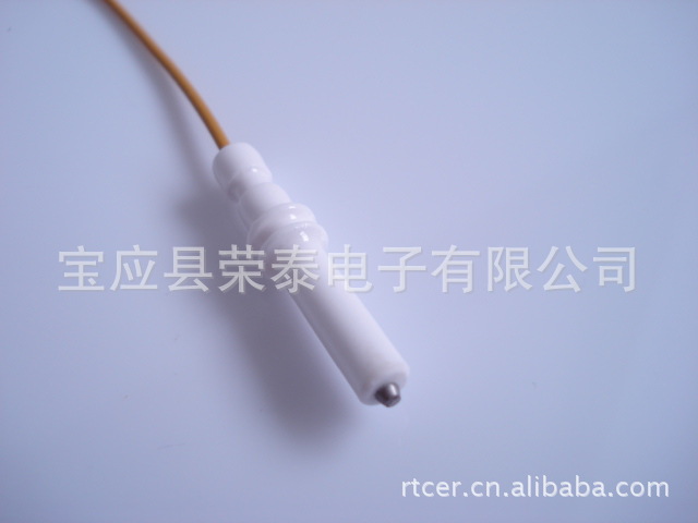 點火電極ignition,electrode（出口燃氣烤箱配件）
