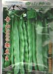 奇山2000架豆王种子