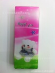 厂家直销 PP立体画文具盒 泰迪熊图 立体效果好 型号H1-004