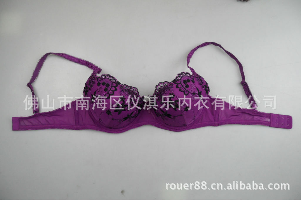 直销批发欧美原单外贸内衣性感时尚刺绣文胸肤色紫色单件文胸胸罩
