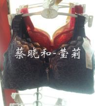 【厂家直销2012秋冬最新款<em>莹莉文胸</em>304#C杯
