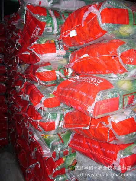 供应 丰乐种业 优质 高产 高抗 玉米种 浚单20 2