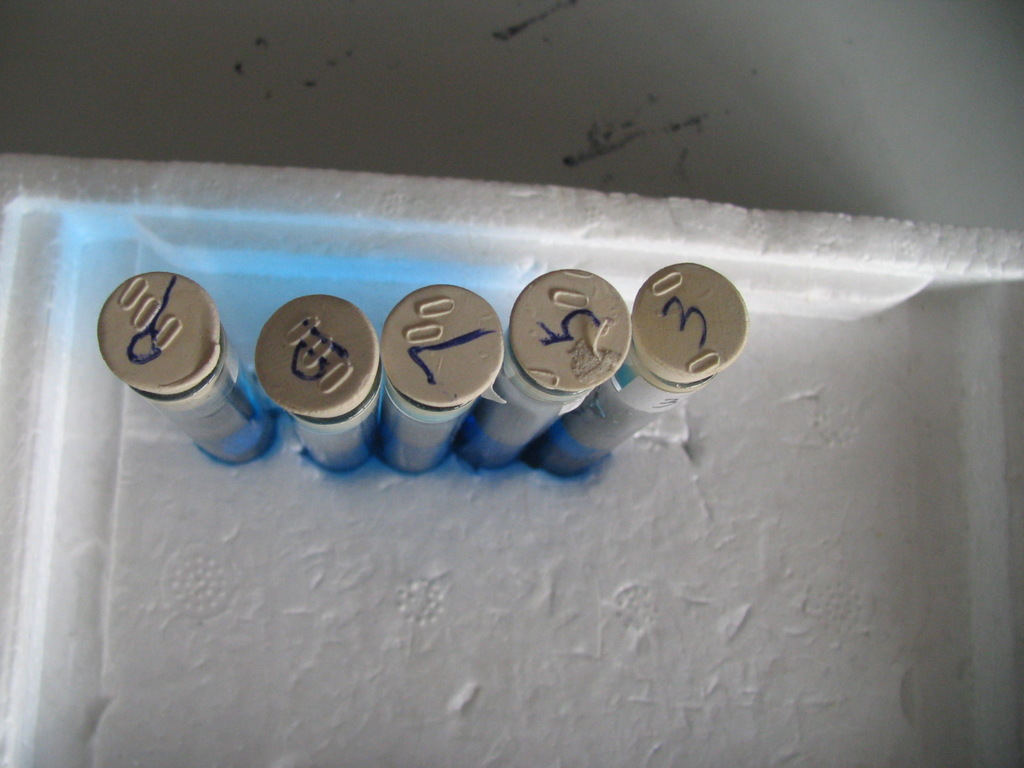 【国产药品填充.甲醛检测试管即试剂.】