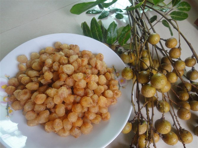 植物原药材-广东特产、元肉、高州桂圆肉、龙眼肉、高州元肉、高州龙眼肉-植物原药材