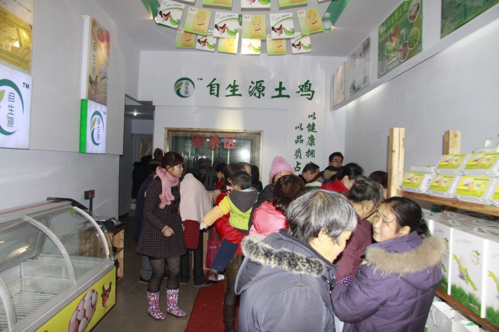 鸡-土鸡养殖成本 土鸡养殖技术 土鸡价格 土鸡