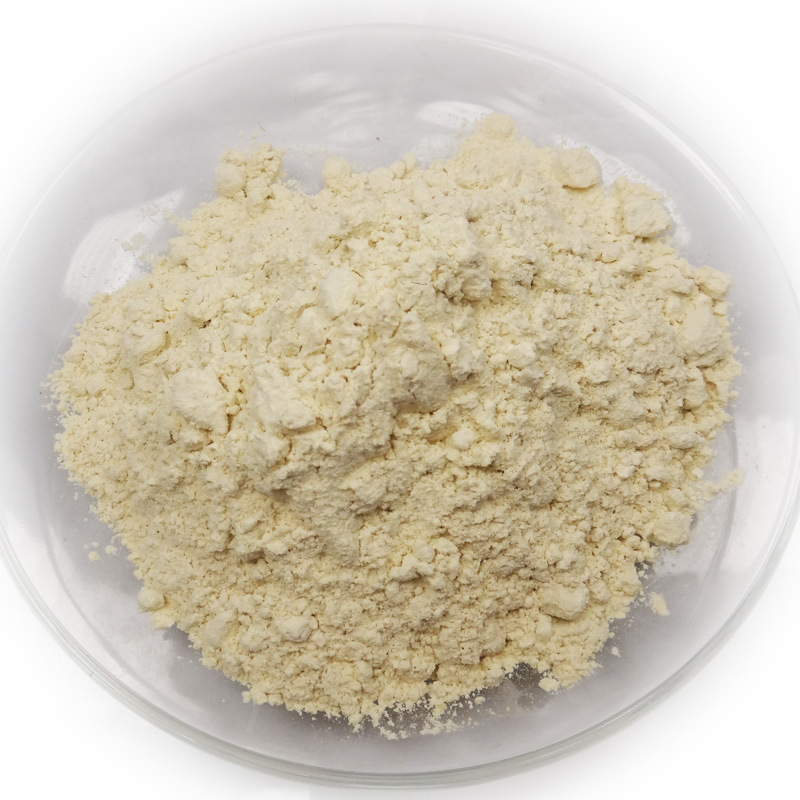 【批发供应优质广西正品青木瓜粉 100g\/袋 QS