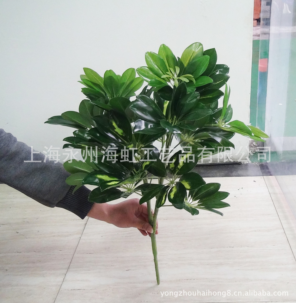 上海海虹提供仿真植物 仿真树 仿真鸭脚木盆栽