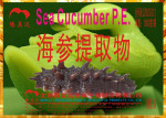 海参提取物(Sea Cucumber P.E.)