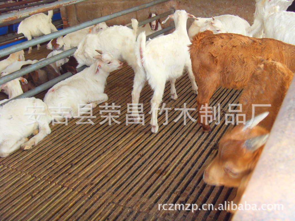 羊围栏设计图片