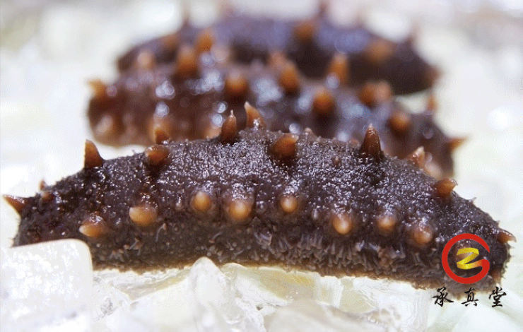 珍品堂 即食海刺参500g:手礼上品;滋补礼物;欢