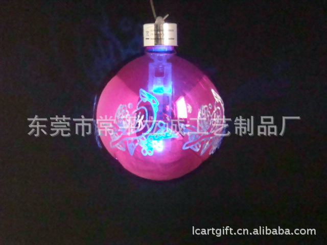 DSC04496