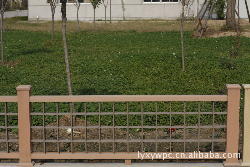 _MG_5600 (800x533) (800x533)