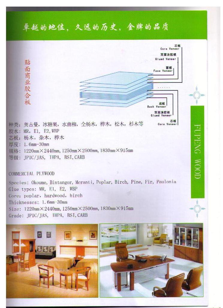 工厂的宣传胶合板的图片2  2011.2.24