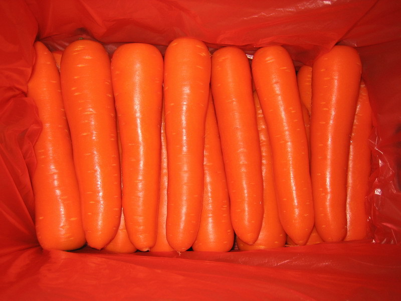 Fresh-Carrot-S-M-L-2L-3L-