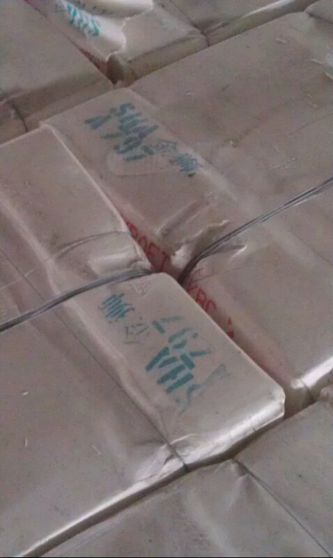 金狮2