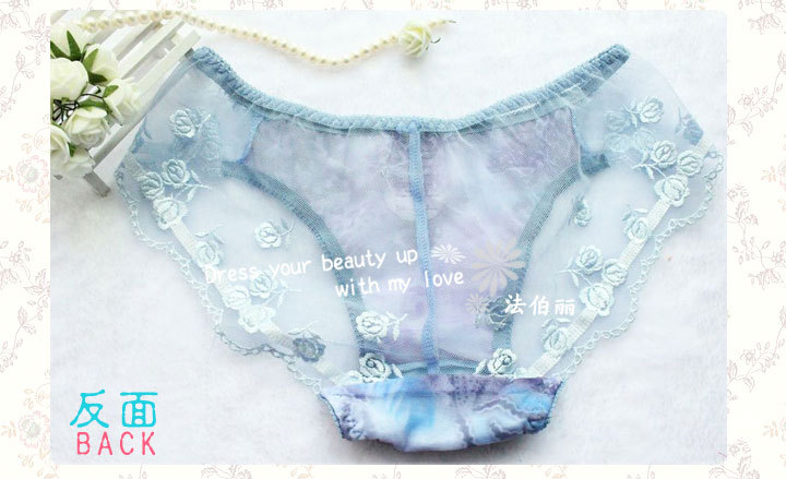 外贸日单蕾丝内裤批发 性感蕾丝刺绣网纱透明