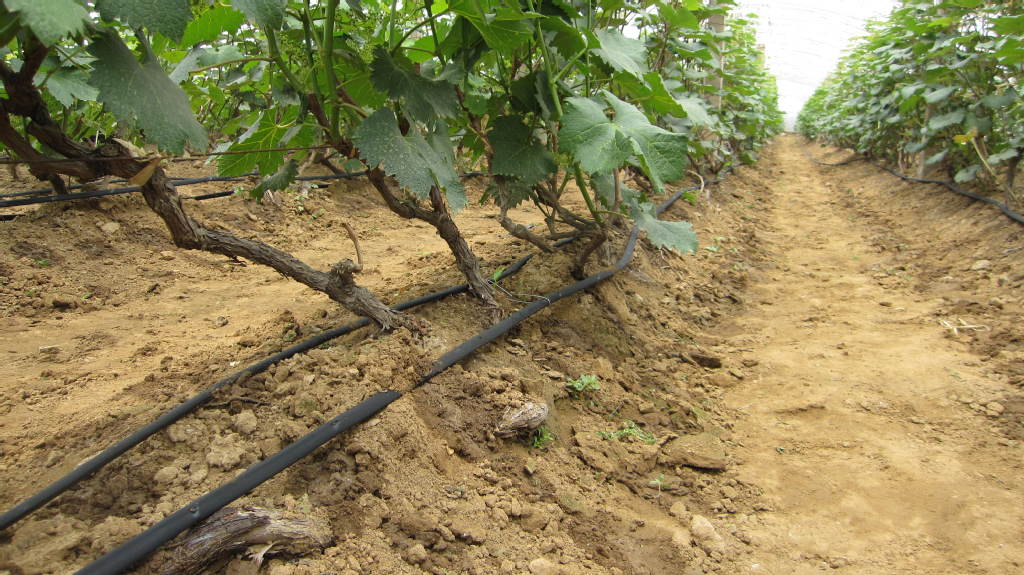 灌溉管-求购PE灌溉管配套快速接头(DN63)--阿