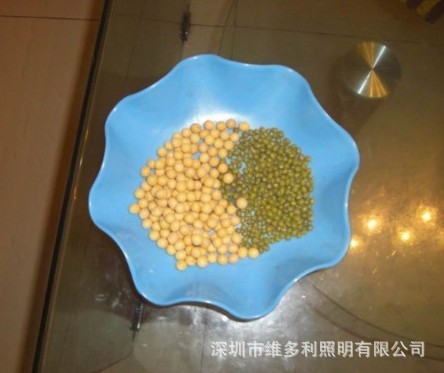 来教大家用豆子做粘贴画哦